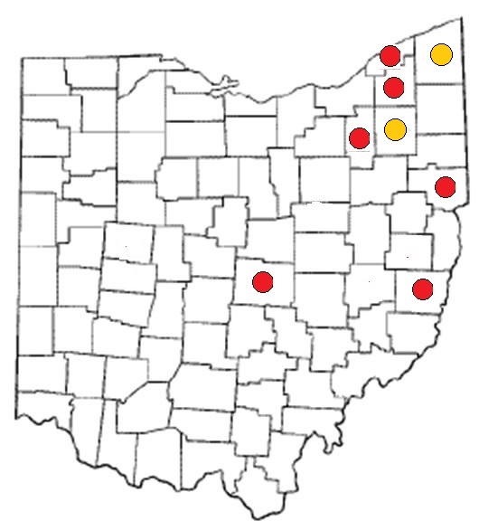 mapmaccith